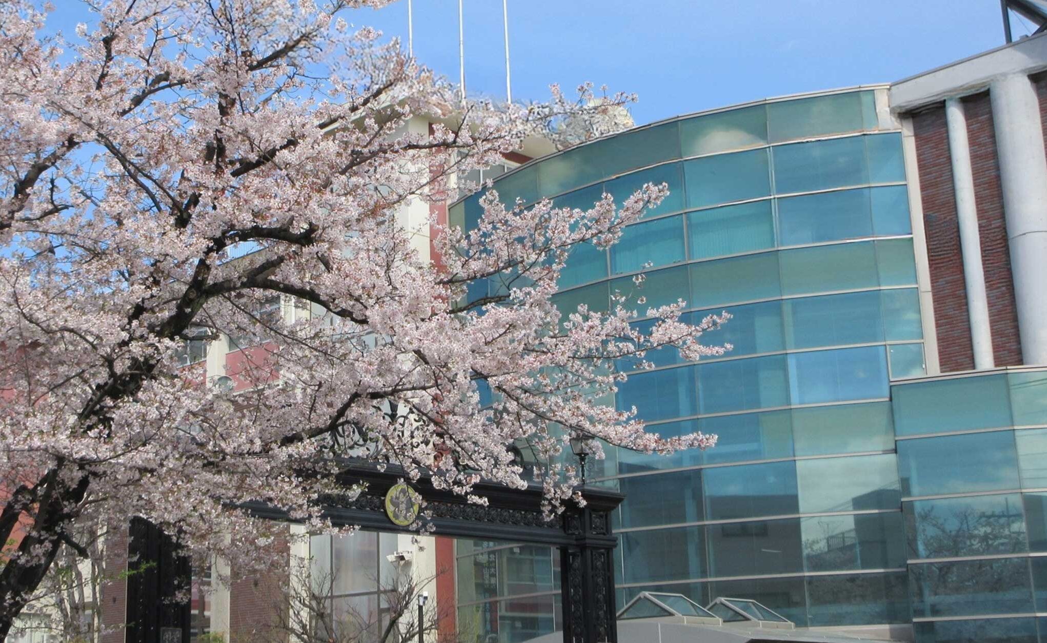 概要3　ウェルカムホール