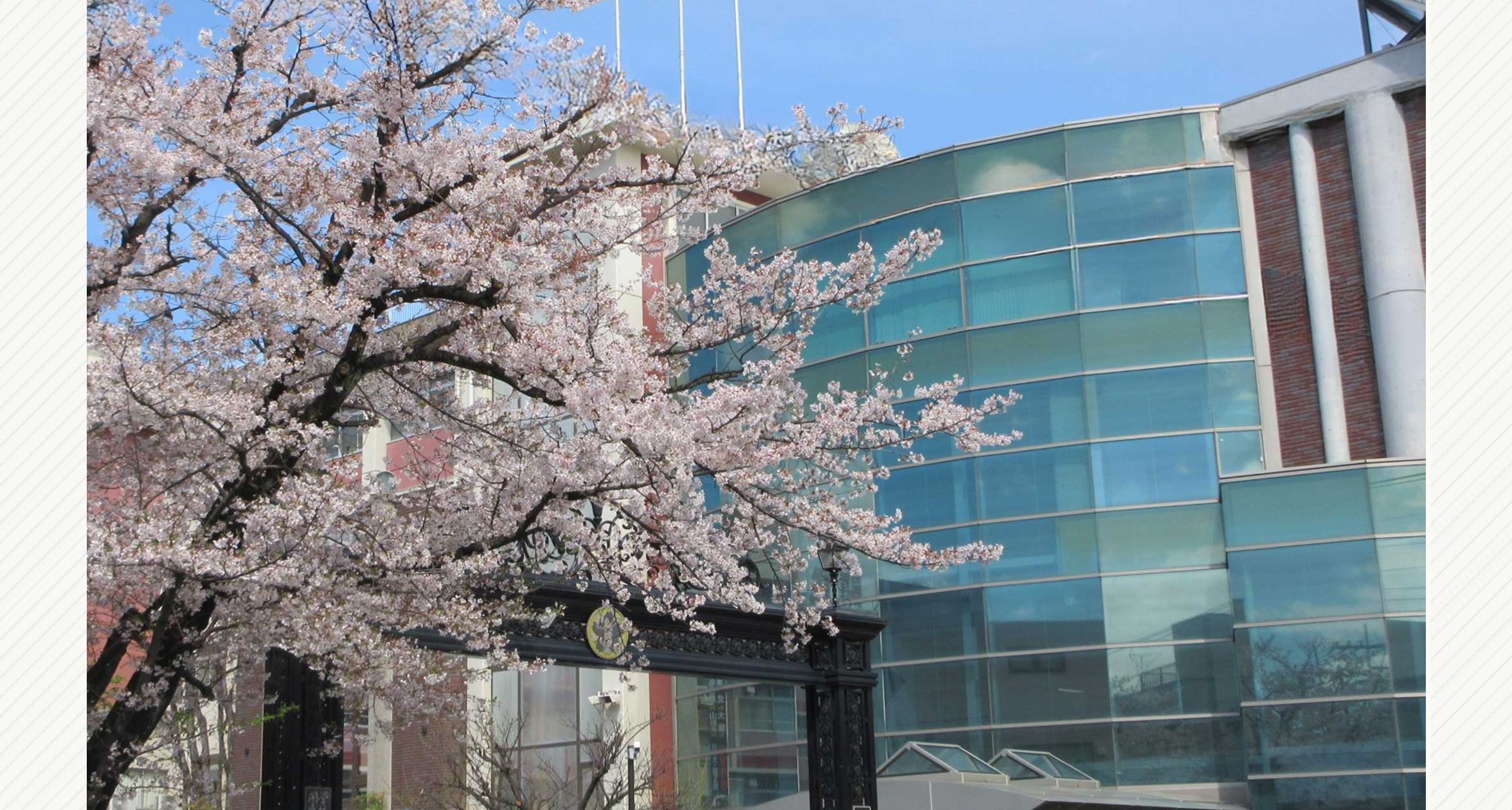 概要3　ウェルカムホール