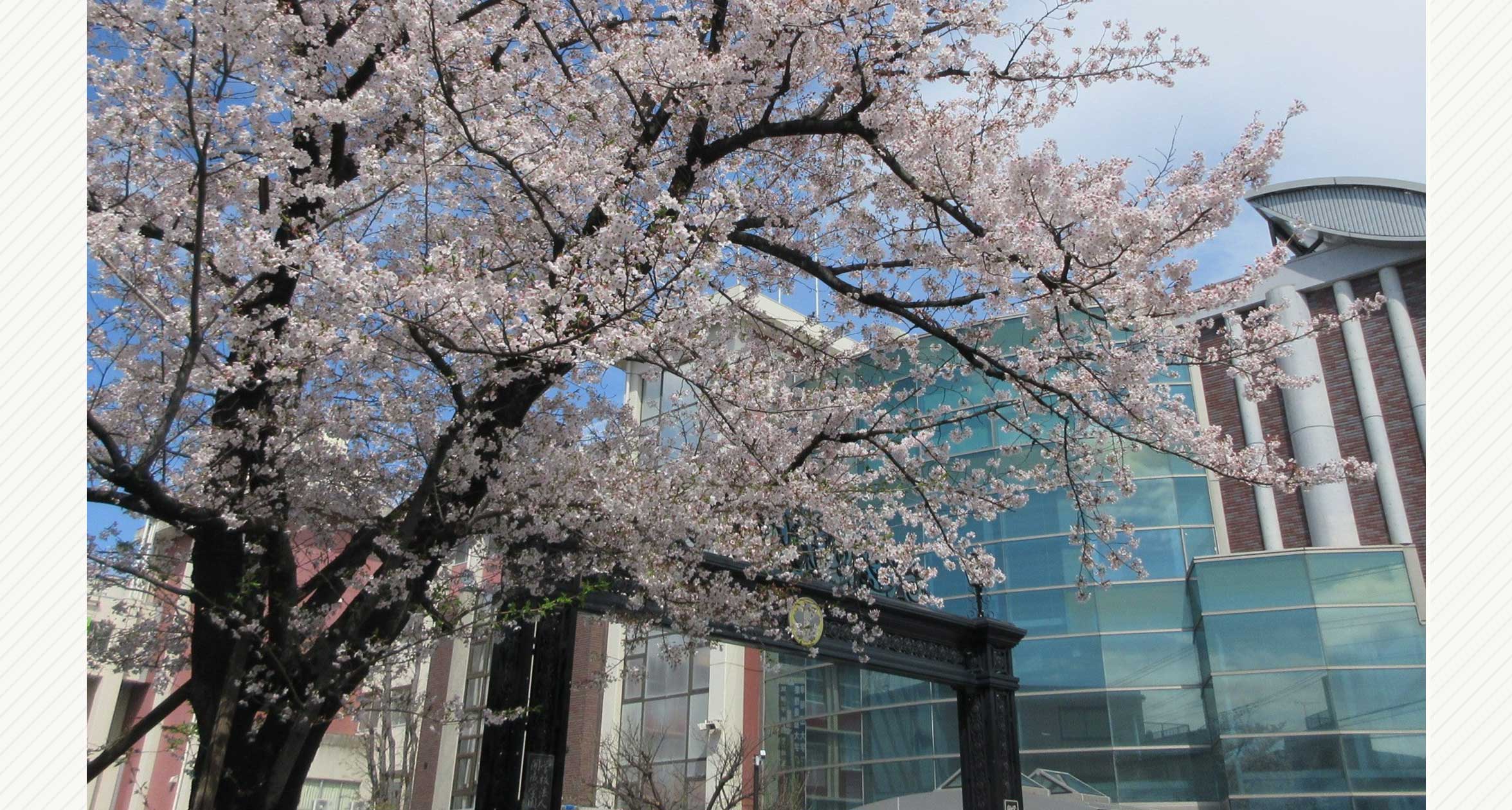 高等学校3　ウェルカムホール