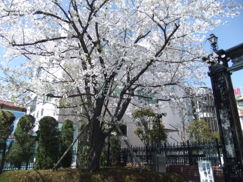 大宮開成での最後の一年がスタート！