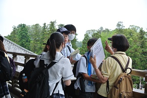 日本の歴史を感じる旅【中２奈良京都 ２日目】