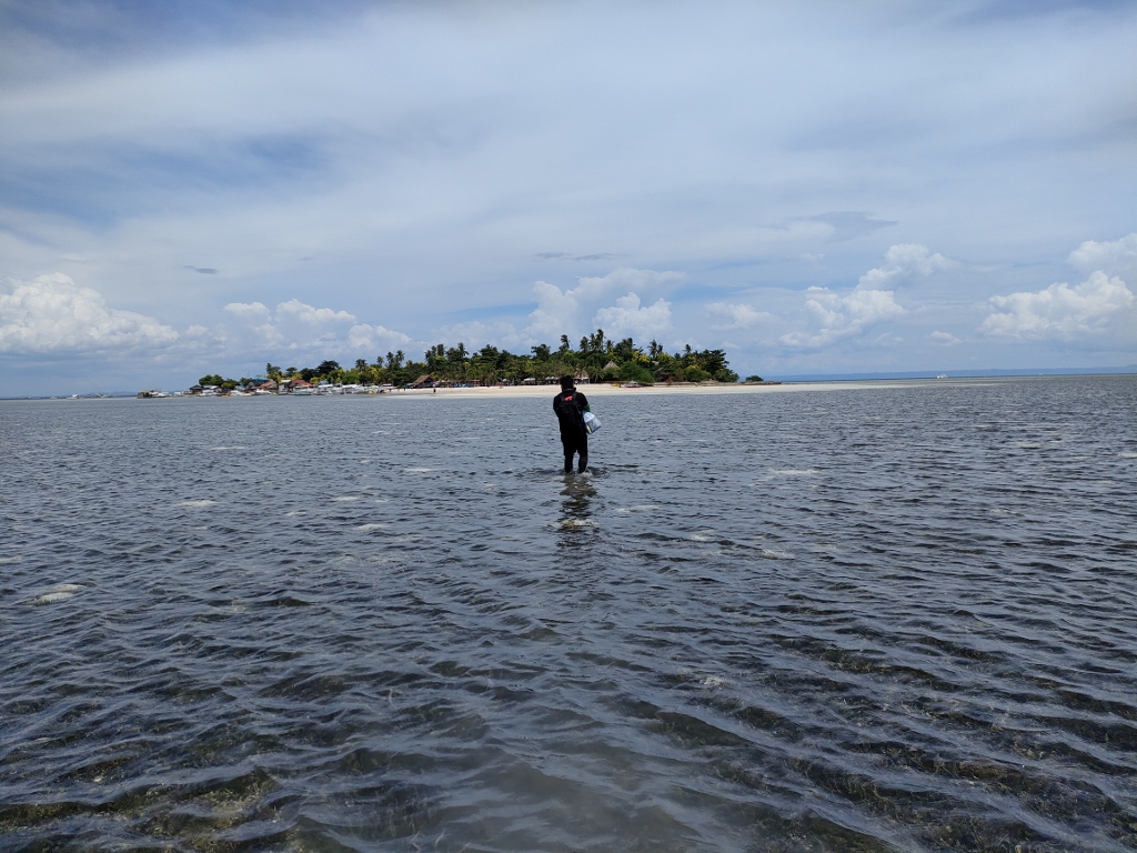 セブ島夏期留学➂――島と、子どもたちと触れ合って - 大宮開成中学