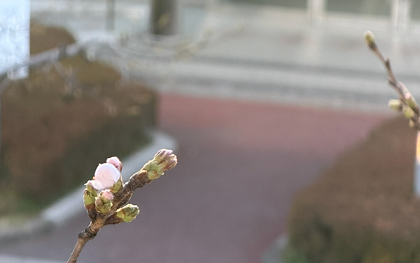 新春の会を開催いたしました。・・・・・・・・・・一貫部後援会・父母の会